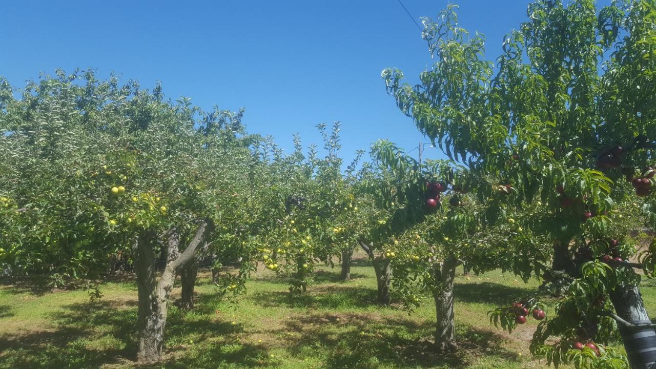 Quinta Do Serrado De Belmonte Belmonte  Exterior foto