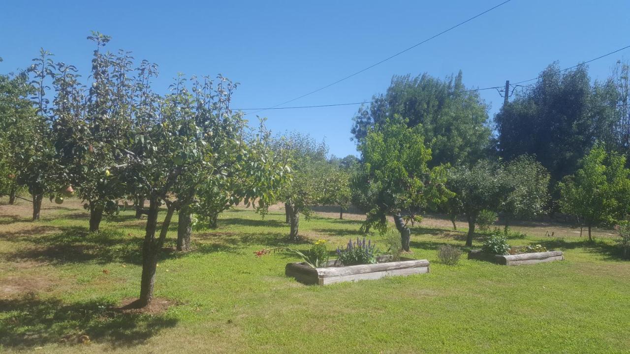 Quinta Do Serrado De Belmonte Belmonte  Exterior foto